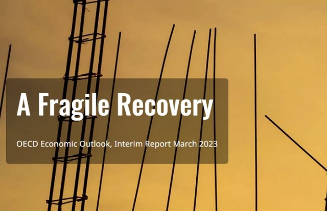 OECD는 17일 발표한 중간 경제전망 보고서의 부제를 취약한 경제회복(a Fragile Recovery)이라고 달았다. OECD 홈페이지