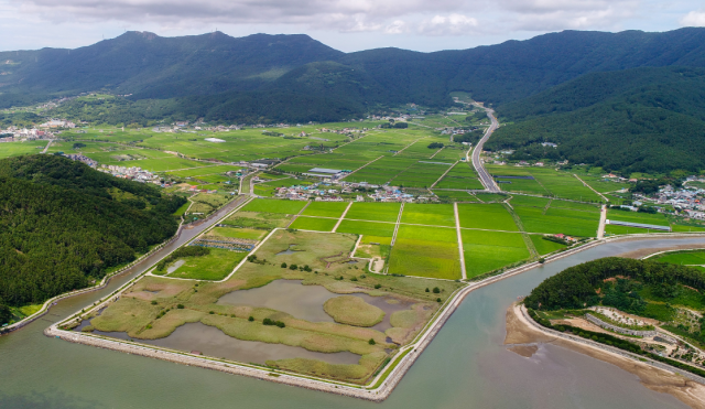 한·아세안 국가정원이 들어설 거제시 동부면 산촌간척지. 부산일보DB