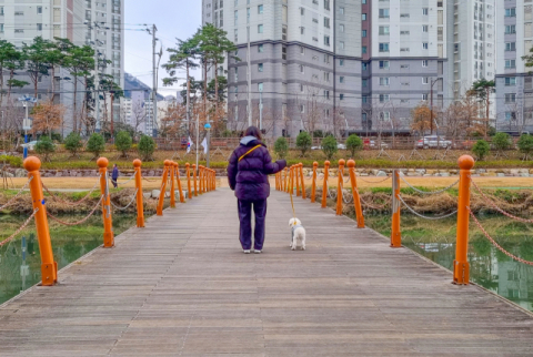 익숙한 곳도 새롭게…댕댕이와 온천천 100배 즐기기 [반려동물과 여기 어때]