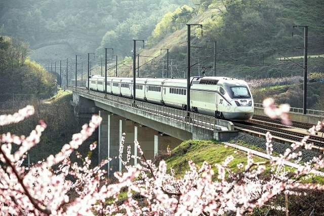 고속열차 SRT가 벚꽃이 핀 철로 위를 달리고 있다. 에스알 제공