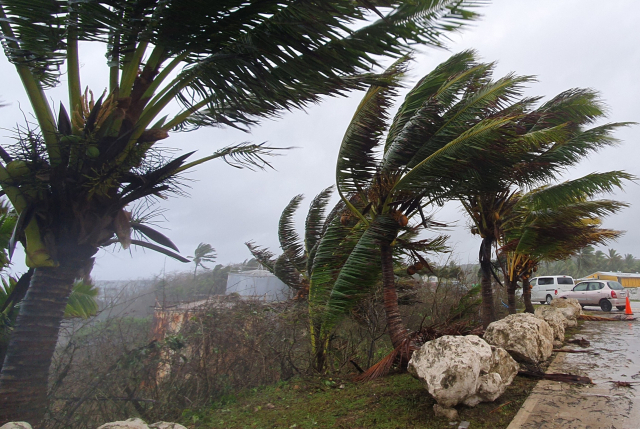 니우에에 태풍이 들이닥쳐 나무들이 흔들리고 있다. ⓒ도용복 오지여행가