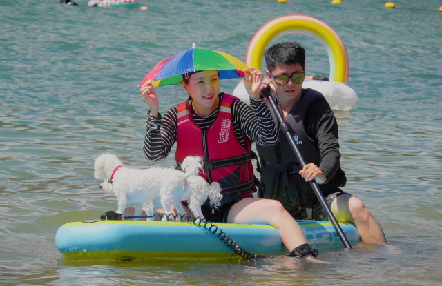 경남 거제 명사해수욕장에서 한 관광객이 반려동물과 함께 해수욕을 즐기고 있다. 김민진 기자 mjkim@