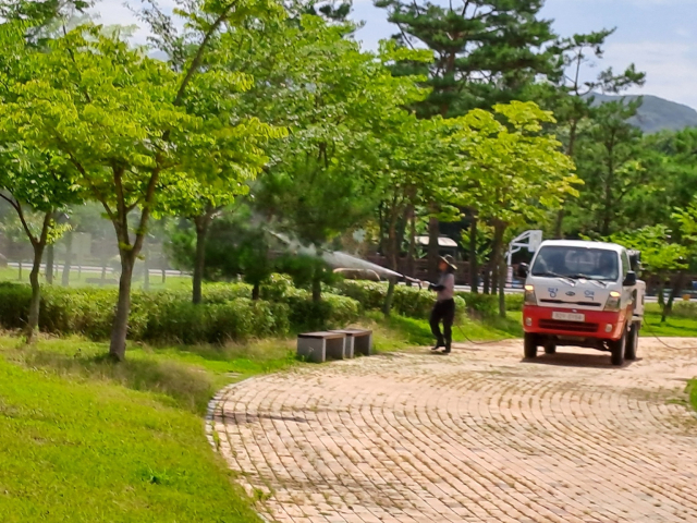 지난해 상림에 미국선녀벌레가 대규모로 확산하면서 집중 방제 작업이 펼쳐졌다. 함양군 제공