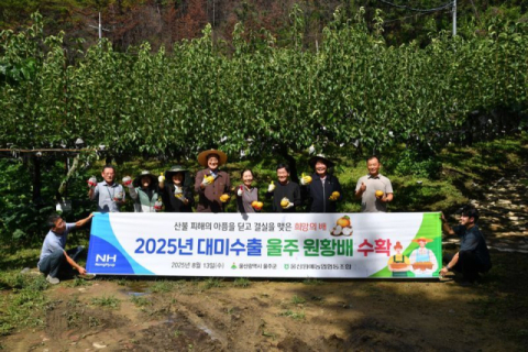 산불·냉해 이겨낸 ‘울주 햇배’ 18일부터 미국 수출