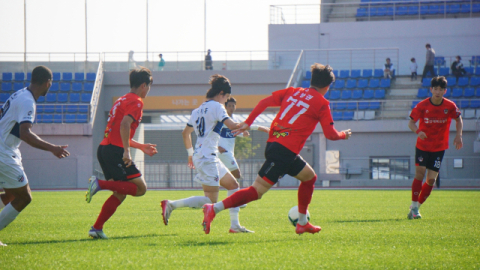 김해FC, 벚꽃 핀 율하천서 28일 ‘팬즈데이’