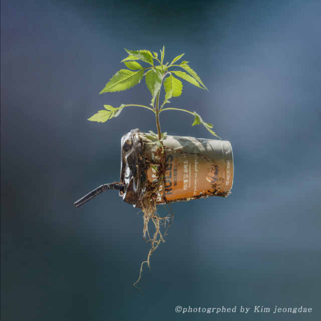 김정대 작품. 스페이스 이신 제공