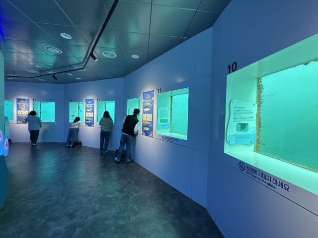 경북 울진군 국립해양과학관 ‘바닷속전망대’에서 방문객들이 해저 7m 창밖으로 펼쳐진 동해의 풍경에 눈길이 사로잡혔다. 이대진 기자