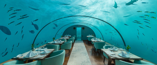 세계적인 휴양지 몰디브의 랑갈리섬에 있는 세계 최초 해저 레스토랑 ‘이타(Ithaa)’. 초대형 아크릴창으로 인도양 바닷속의 매력을 만끽할 수 있다. 홈페이지 캡처