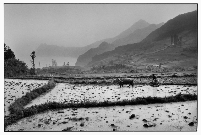 강운구 사진가 대표작 중 하나인 경상북도 울릉도 1973. ⓒ강운구, 고운사진미술관 제공