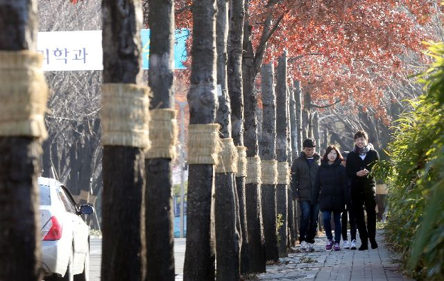 27일 부산·울산·경남 지역은 가끔 구름이 많은 날씨를 보이겠다. 사진은 기사의 내용과 관계 없음. 부산일보DB