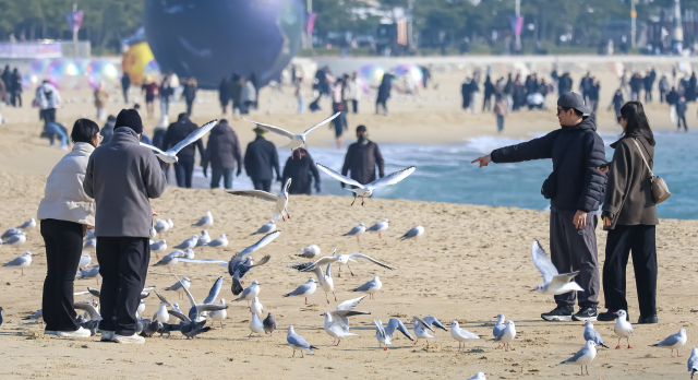 휴일인 4일 오후 부산 해운대해수욕장을 찾은 나들이객들이 갈매기와 함께 여유로운 시간을 보내고 있다. 김종진 기자 kjj1761@