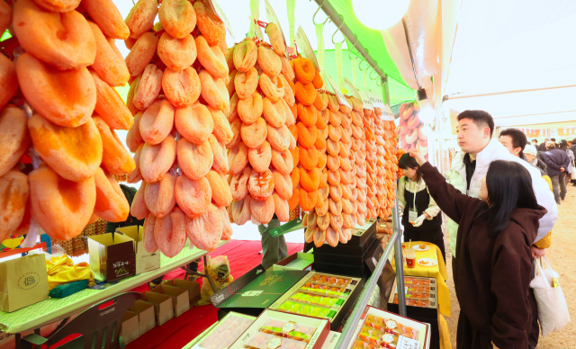 지난 16일부터 18일까지 3일간 상림공원 일원에서 ‘제10회 지리산함양 고종시 곶감축제’가 성황리에 열렸다. 함양군 제공