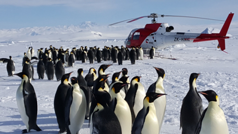 극지(極地), 다음 세대에 꽃필 동토의 땅