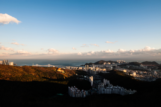 황령산에서 내려다 본 부산 아파트 전경. 이인미 작가 제공