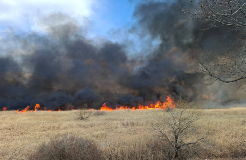 “추워서” 창원 갈대밭에 불 지른 50대 덜미(종합)