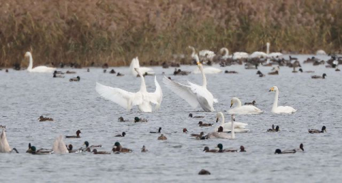 “이기대 해안 개발 중단해야”
