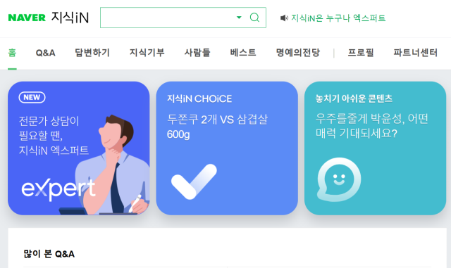 네이버 지식인 페이지. 네이버 지식인 캡처