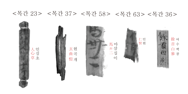 백제 악기와 더불어 다수 출토된 다양한 종류의 목간들 중 일부. 국가유산청 제공