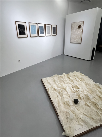 손정원 개인전 '제비, 봄을 부르다' 전시장 전경. 작가 제공