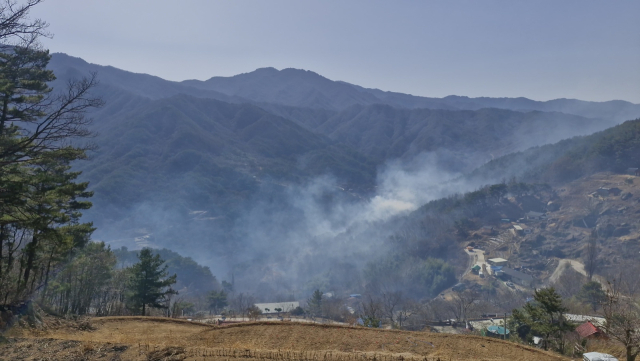 23일 오전 11시 산불 현장 모습. 낮 12시 기준 함양 산불 진화율은 69%까지 올랐다. 김현우 기자