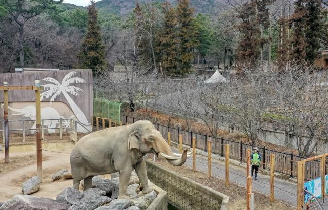 박형준 부산시장이 부산어린이대공원에서 기자회견을 열어 공립 동물원 추진을 밝힌 25일 부산어린이대공원 동물원 전경. 김종진 기자 kjj1761@