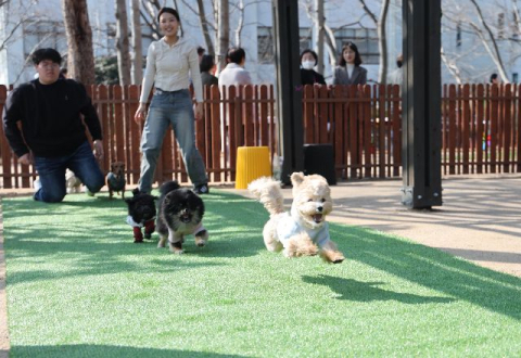 반려동물 가구 30% 부산, 2년새 반려견 놀이터 배 증가