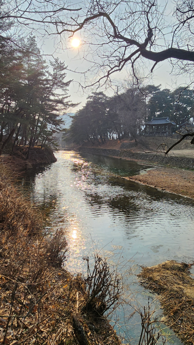 금성대군이 단종 복위 거사를 도모하다 죽임을 당할 당시 순흥마을 사람들도 수양대군에 의해 무참히 살해되면서 마을 자체가 없어졌다. 당시 죽어간 순흥마을 사람들의 시신과 피가 죽계천을 가득 메웠고, 그 피가 수 십리 밖으로 까지 흘렀다. 순흥마을의 슬픈 역사를 간직한 죽계천.