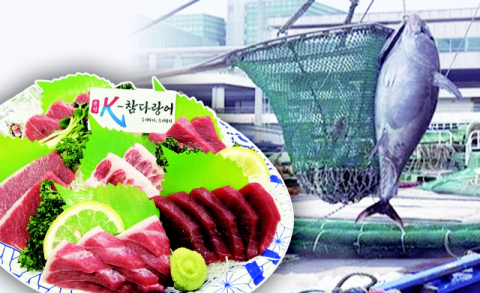 [밀물썰물] 생참치회 시대