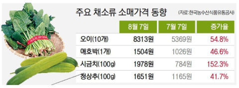 폭염 덮친 식탁 물가 '히트플레이션' 몸살(종합)